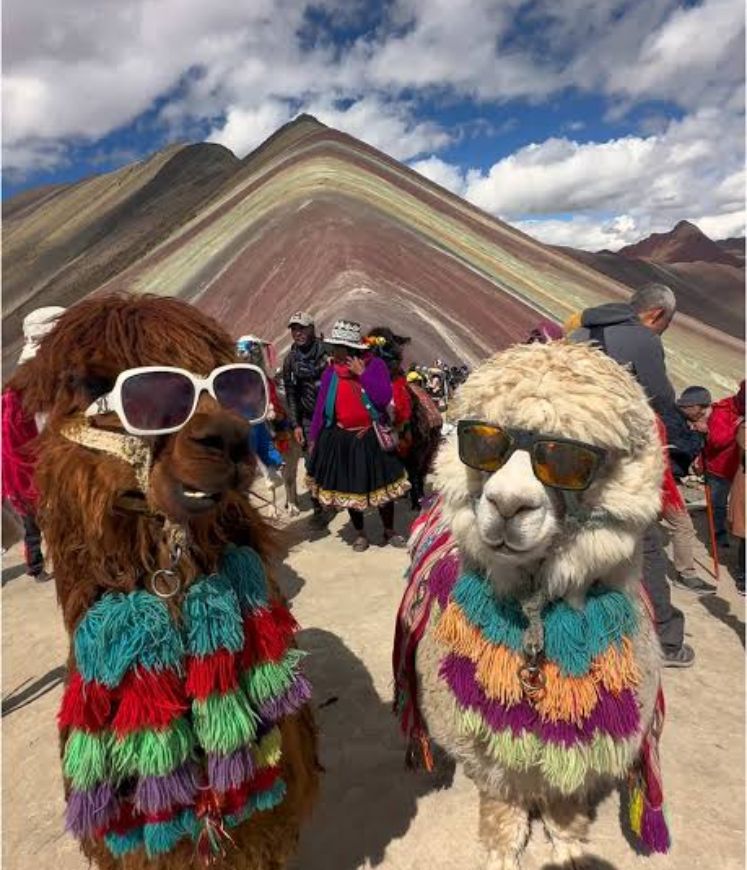 MONTAÑA DE COLORES